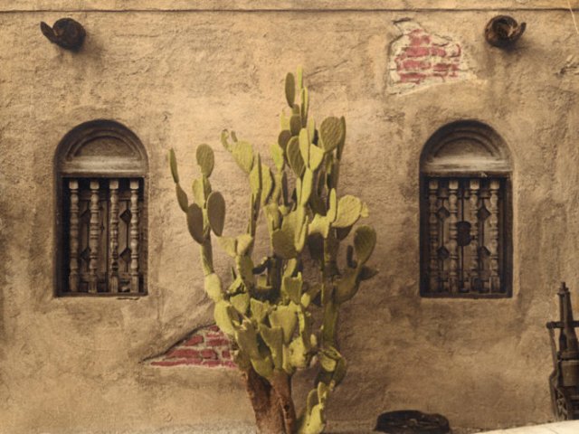 southwest desert photograph